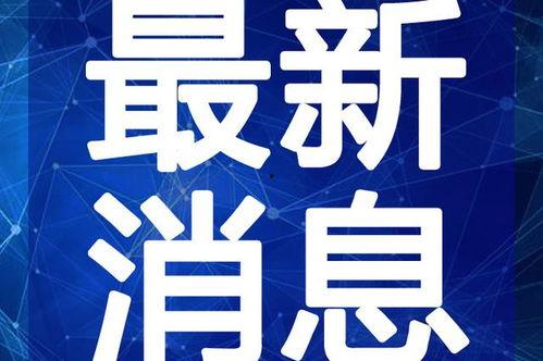 追梦王者爆料视频大全最新,揭秘最新爆料视频大全精彩瞬间
