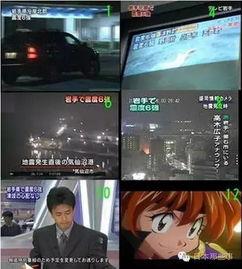 日本选举爆料视频在线,爆料视频曝光惊人真相