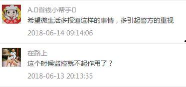 珲春最新爆料消息,揭秘神秘项目背后的惊人真相！