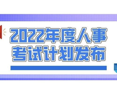 丰县最新爆料新闻网站,揭秘事件背后真相，追踪网络热议焦点