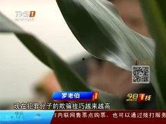 今日一线爆料电话,电话事件背后真相揭晓
