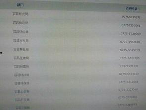 广西新闻在线 爆料,揭秘重大事件背后真相