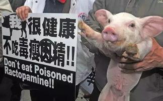 阿拉撕猪爆料好吃吗视频,探秘美食视频，究竟好吃吗？