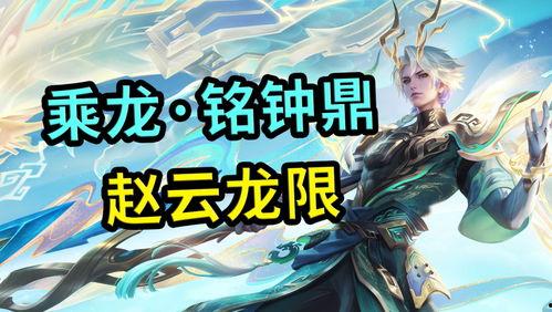 赵云龙最新爆料视频,深度解析事件背后真相
