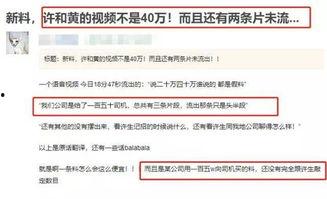 爆料视频曝光违法吗,揭秘网络监督的边界与责任